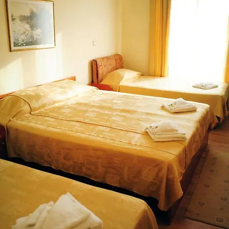 Vip - New Management Hotel 3*